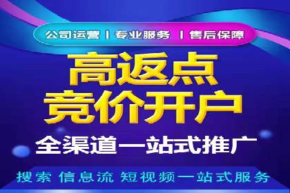 某某sem广告公司成功案例：如何通过SEM优化提高电商销售额